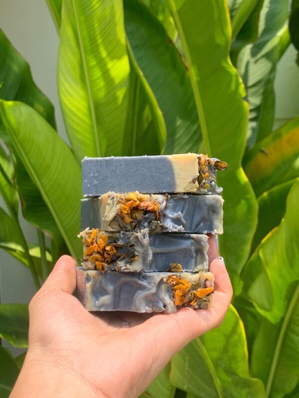 Activated Charcoal & Brine Soap