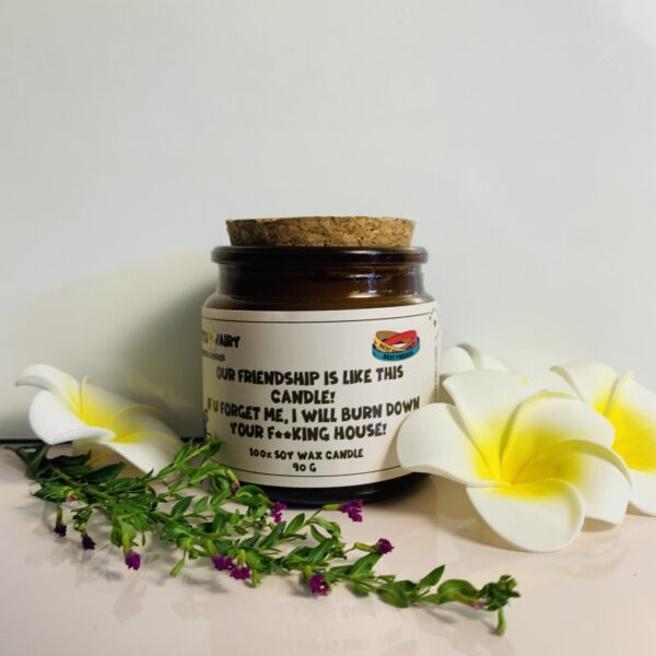 Cute Scented Soy Wax Candles: Our Friendship Is Like This Candle!
If U Forget Me, I Will Burn Down Your F**king House!