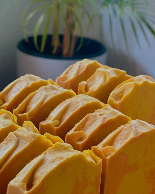 Pumpkin Spice & Buttermilk Soap